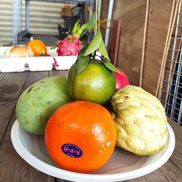 Mâm ngũ quả số 44